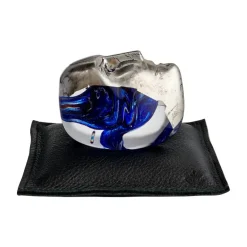 Annual Brains lasiveistos AC-25, 2025