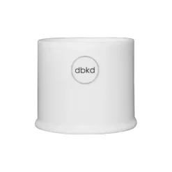 Astillbe ruukku small Ø7 cm, Valkoinen