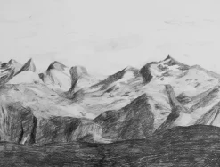 B.V.T juliste, 50 x 70 cm