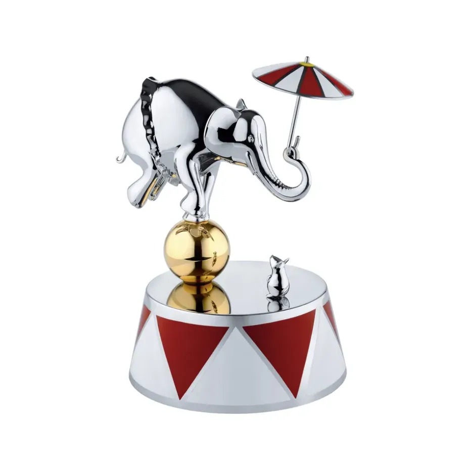 Circus soittorasia, Ballerina