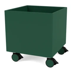 Colour Box I – S6161, Pine
