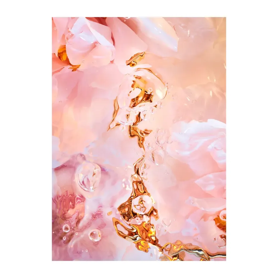 Flora Aquatica 02 juliste, 70x100 cm