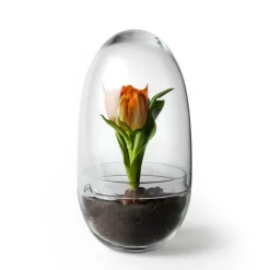 Grow-idätysastia, Medium ø11 cm