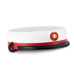 Kay Bojesen -ylioppilaslakki keskikokoiselle apinalle, Punainen