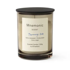 Mnemonic MNC5 tuoksukynttilä, Turning tide