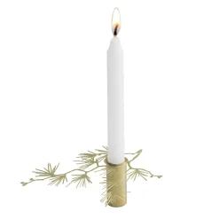 Mänty kynttilänjalka pieni, Kulta