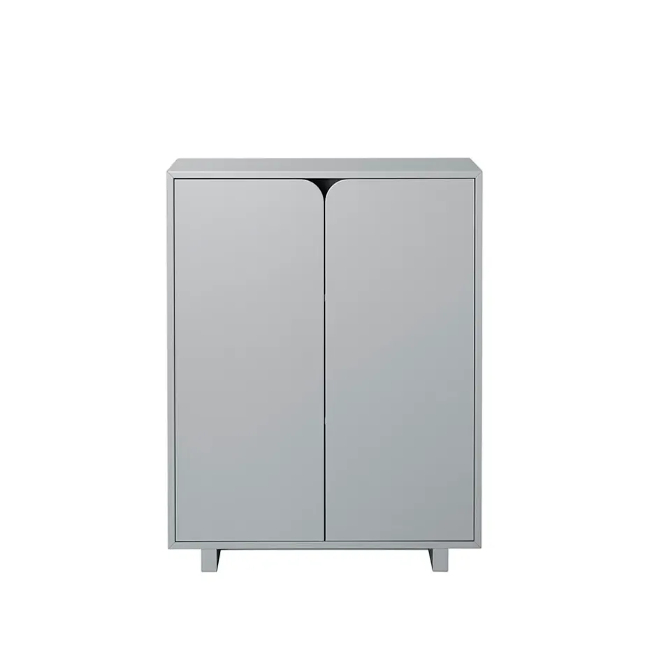 Vidja kaappi, Harmaa lakka, matala, peitetyt ovet